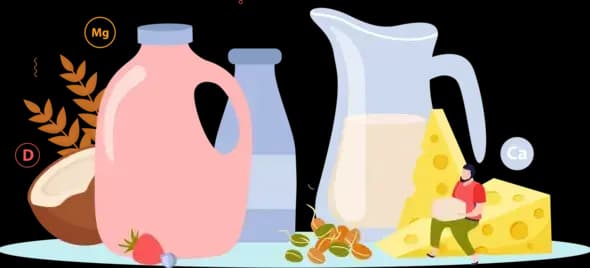 محاسبه کالری غذا