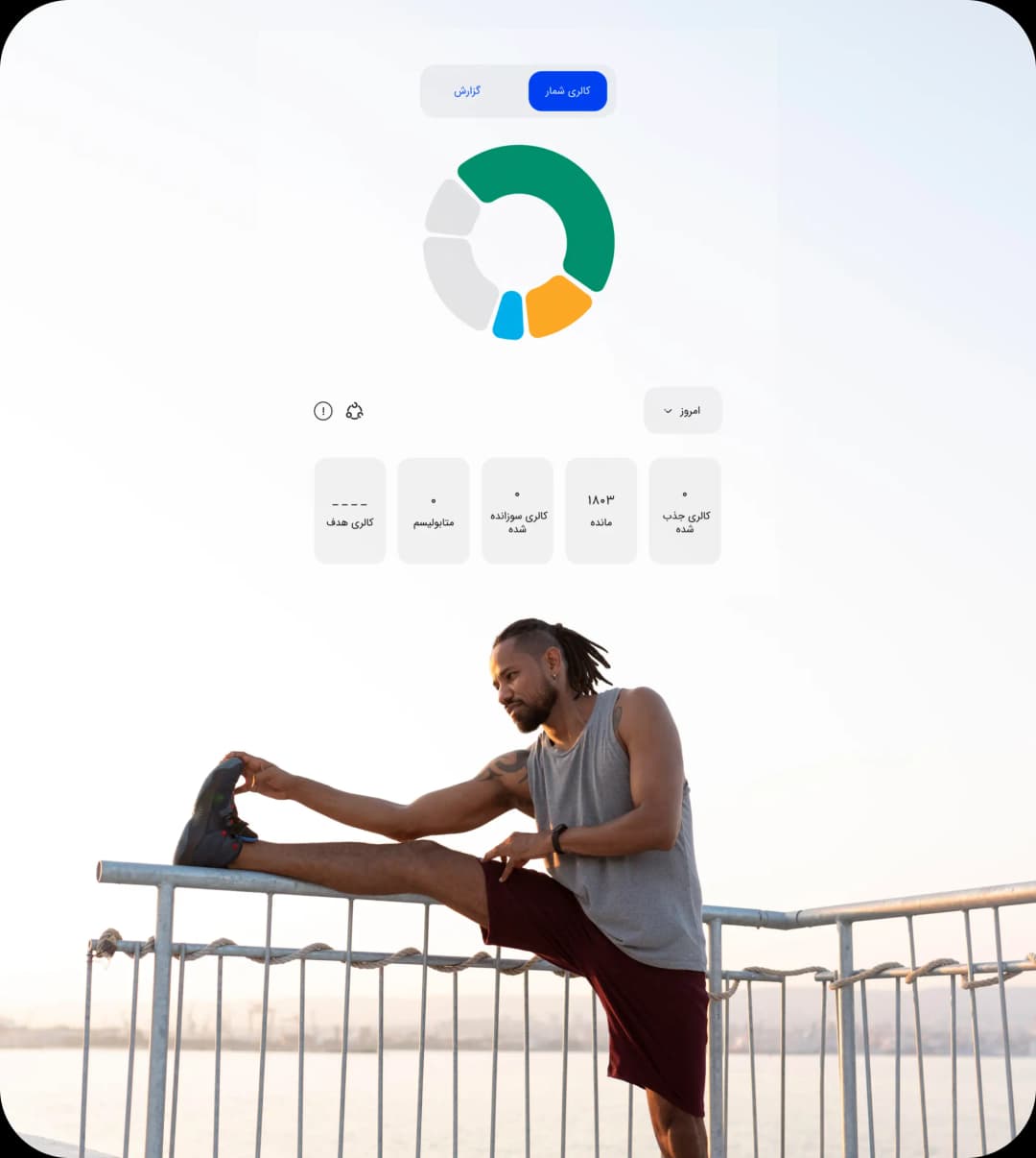 رصد کردن غذای روزانه